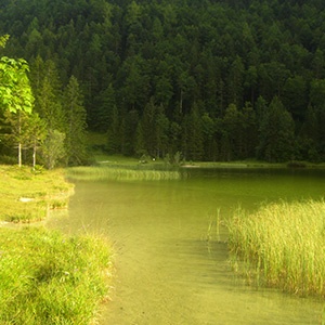 karwendelblick-quadratisch-seeblick